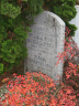 Grafsteen - Maria Sparreboom--12-03-1875--Bron - OB