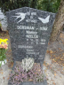Grafsteen - Cornelis Dorsman--12-09-1927--24-03-2014--Bron-Online Begraafplaatsen-Gevonden-26-11-2020